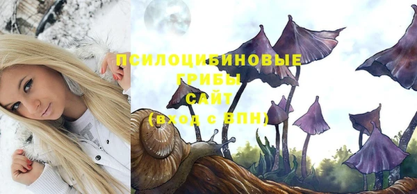 синтетический гашиш Няндома