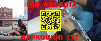 стаф Донецк