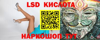 стаф Донецк