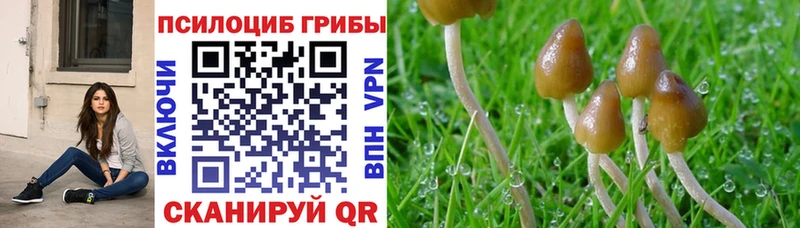 Галлюциногенные грибы ЛСД Муром