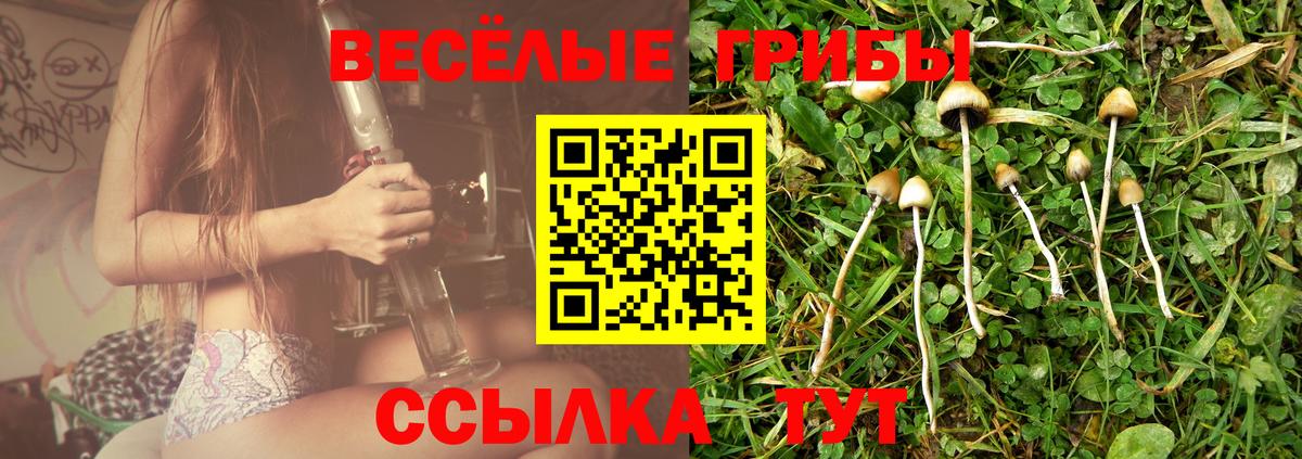 Галлюциногенные грибы GOLDEN TEACHER  Псилоцибиновые грибы MAGIC MUSHROOMS  Муром  Вход с VPN 